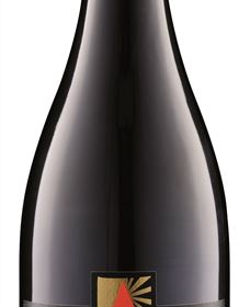 Orange Mountain Wines - Rental Cars 5