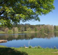 Lake Canobolas Reserve - Rental Cars