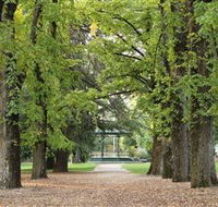 Cook Park - Rental Cars