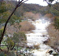 Mullion Range State Conservation Area - Rental Cars
