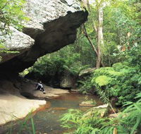 Cania Gorge National Park - Rental Cars