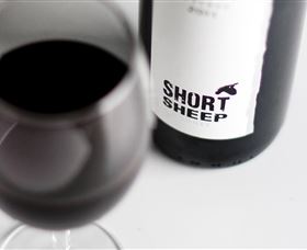 Short Sheep Micro-Winery - Rental Cars 4