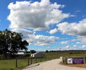 Short Sheep Micro-Winery - Rental Cars 8
