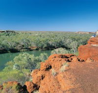 Fortescue River - Rental Cars