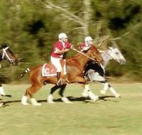 Morgan Park Warwick - Rental Cars