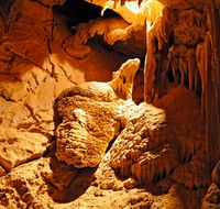 Fig Tree Cave - Rental Cars