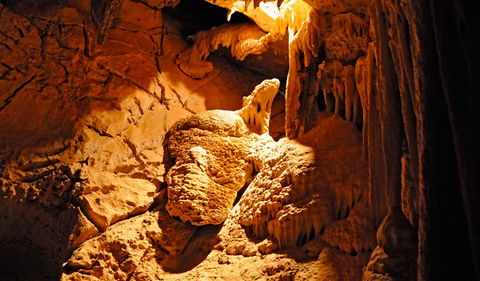 Fig Tree Cave - Rental Cars 0
