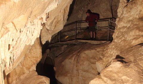 Fig Tree Cave - Rental Cars 3
