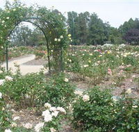 Victoria Park Rose Garden - Rental Cars