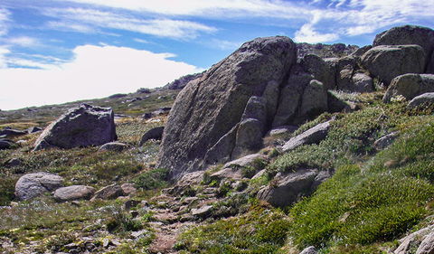 Mount Stillwell Walk - Rental Cars 0