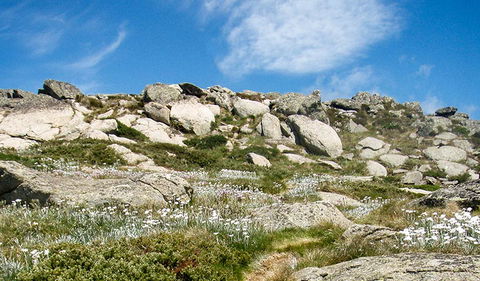 Mount Stillwell Walk - Rental Cars 1