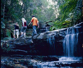South Lawson Waterfall Circuit - Rental Cars 0