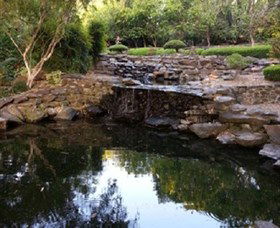 Bundaberg Botanic Gardens And Playground - Rental Cars 1