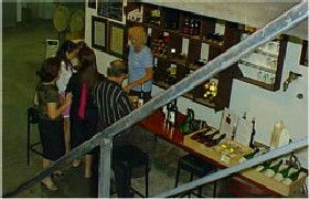 John Kosovich Wines - Rental Cars 1