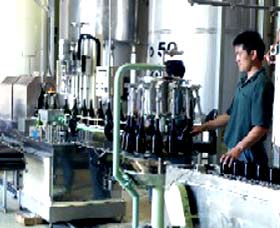 Sun Masamune Sake Brewery - Rental Cars 2
