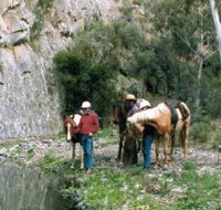 Yarramba Horse Riding - Rental Cars