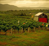 Around Hermitage Wine and Food Trail Hunter Valley - Rental Cars