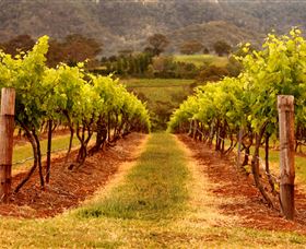 Hunter Valley Wine School - Rental Cars 1