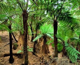 Pegarah Private Nature Reserve & Parenna Place - Rental Cars 0
