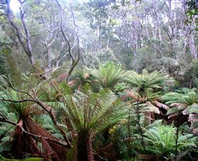 Pegarah Private Nature Reserve & Parenna Place - Rental Cars 1