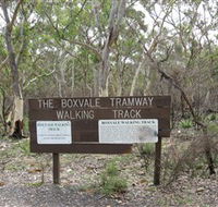 Box Vale Picnic Area - Rental Cars