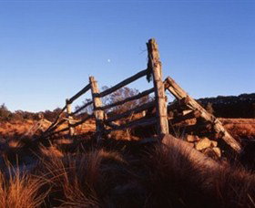 Studio Czes - Rental Cars 2