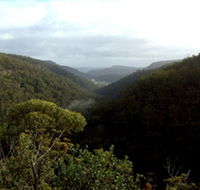 Nattai Gorge Lookout - Rental Cars