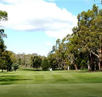 Cooma Golf Club - Rental Cars