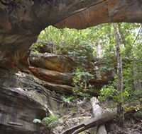 Cave Creek Walking Track - Rental Cars