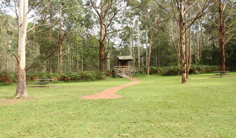 Mill Creek Picnic Area - Rental Cars 2