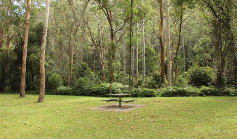 Mill Creek Picnic Area - Rental Cars 1