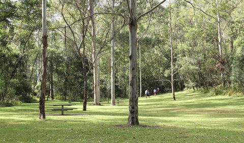 Mill Creek Picnic Area - Rental Cars 3