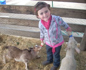 Hunter Valley Zoo - Rental Cars 4
