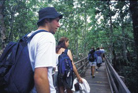 Mount Delaney QLD Rental Cars