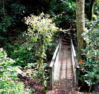Richmond Range National Park - Rental Cars
