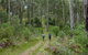 The Green Gully Track - thumb 0