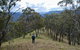 The Green Gully Track - thumb 1