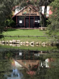 Hervey Bay Botanic Gardens - Rental Cars 1