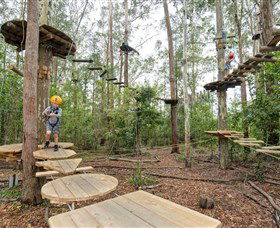 TreeTop Adventure Park Central Coast - Rental Cars 1