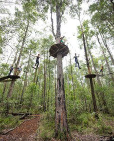 TreeTop Adventure Park Central Coast - Rental Cars 4
