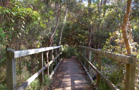 Lake Macquarie State Conservation Area - Rental Cars 2