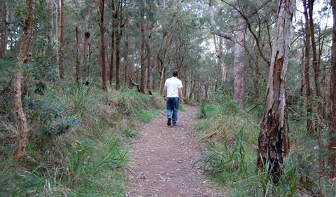 Lake Macquarie State Conservation Area - Rental Cars 3
