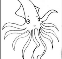 Squid Studio - Rental Cars
