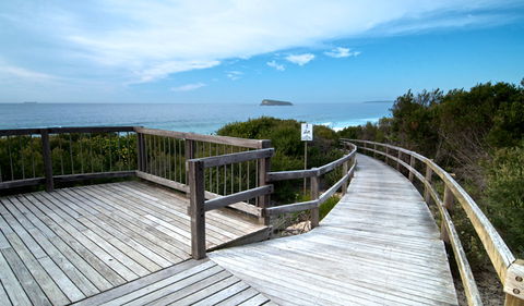 Tea Tree Picnic Area And Lookout - Rental Cars 0