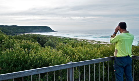 Tea Tree Picnic Area And Lookout - Rental Cars 2