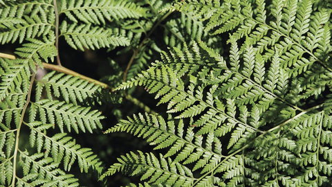 Glenrock State Conservation Area - Rental Cars 3