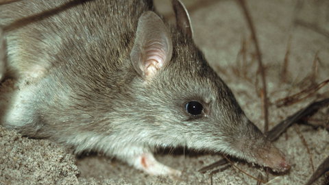 Glenrock State Conservation Area - Rental Cars 2