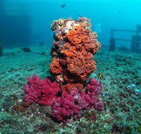 HMAS Brisbane Dive Site - Rental Cars