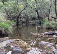 Homeleigh - Rental Cars