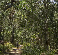 Sand track walk south - Rental Cars